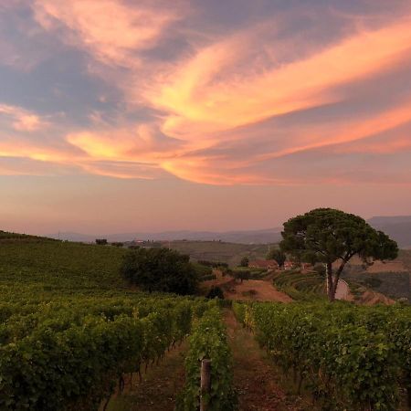 Quinta Dos Espinheiros Villa Provesende Kültér fotó