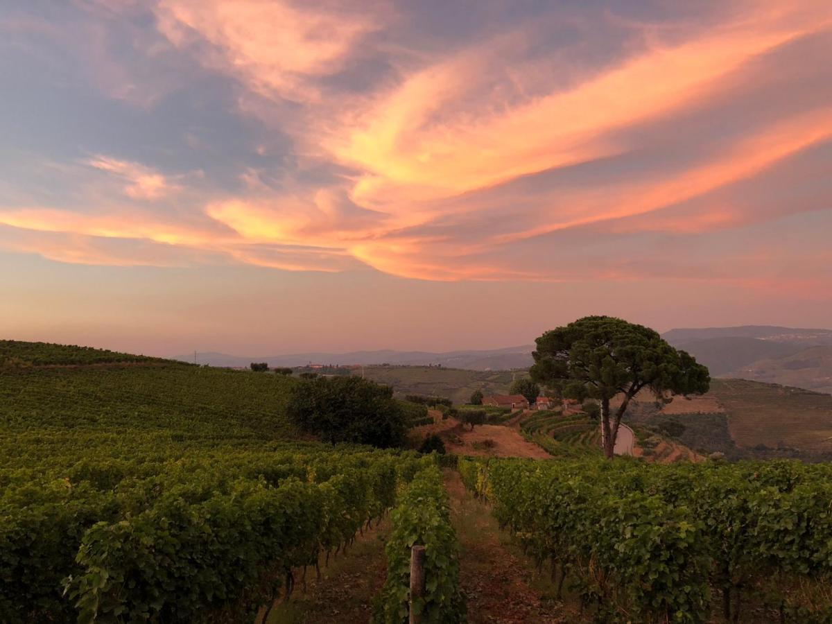 Quinta Dos Espinheiros Villa Provesende Kültér fotó