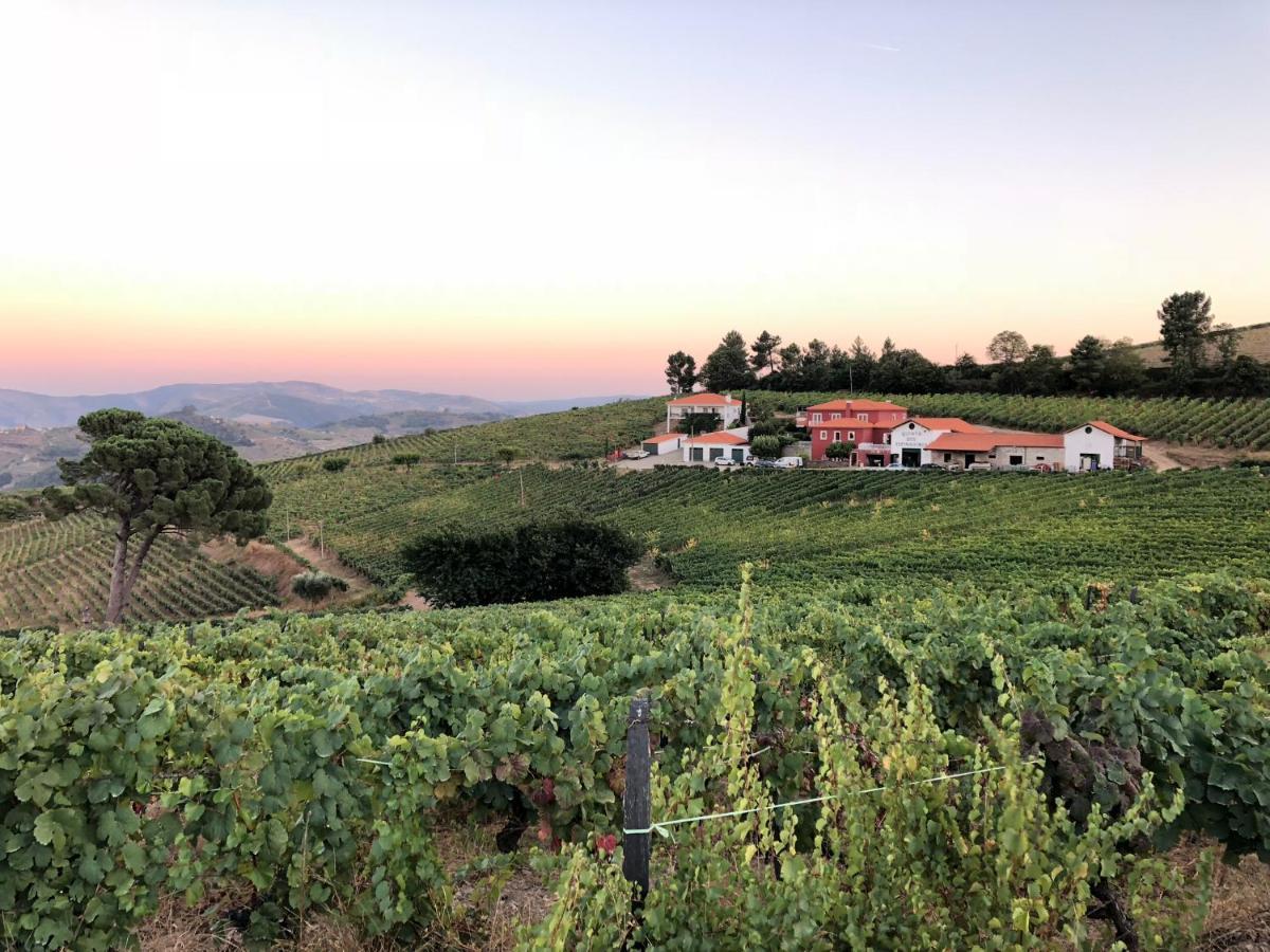 Quinta Dos Espinheiros Villa Provesende Kültér fotó