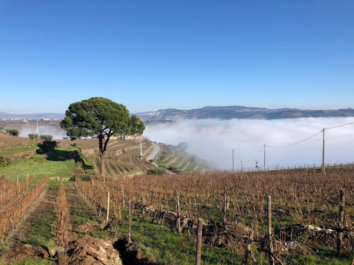 Quinta Dos Espinheiros Villa Provesende Kültér fotó