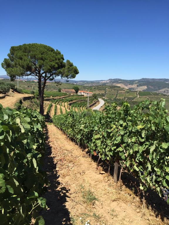 Quinta Dos Espinheiros Villa Provesende Szoba fotó