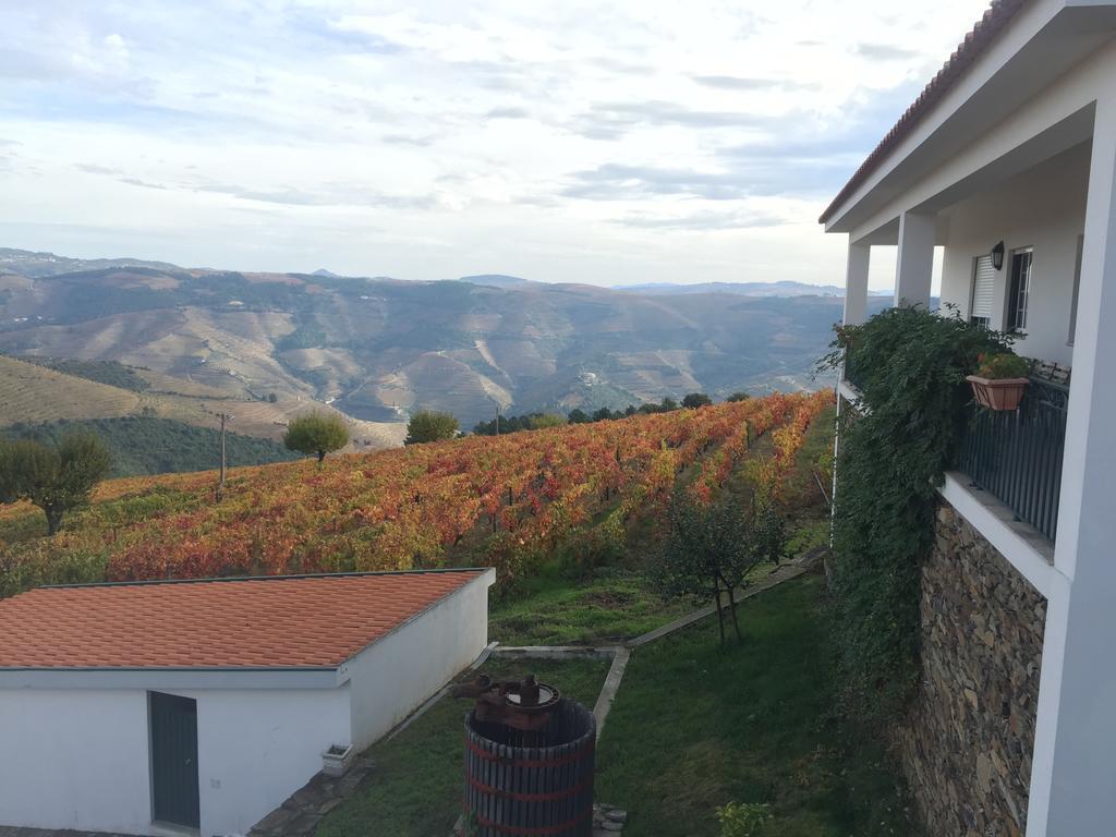 Quinta Dos Espinheiros Villa Provesende Kültér fotó