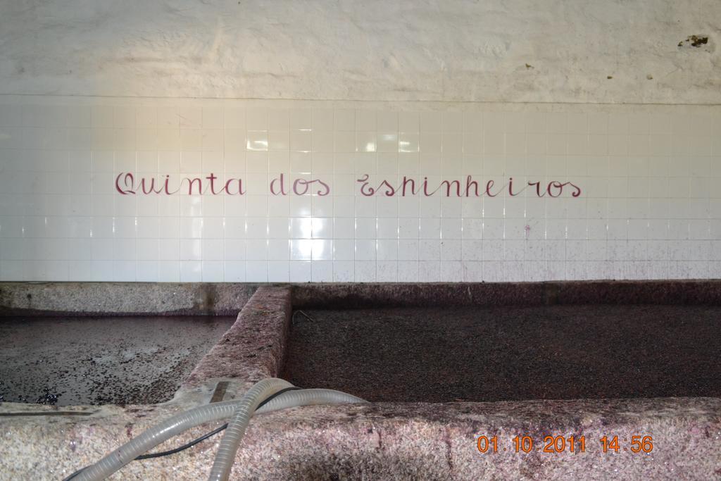 Quinta Dos Espinheiros Villa Provesende Kültér fotó