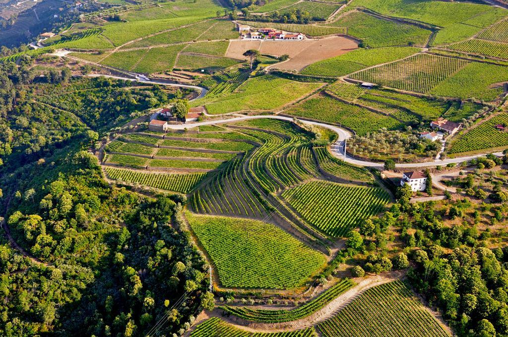 Quinta Dos Espinheiros Villa Provesende Kültér fotó