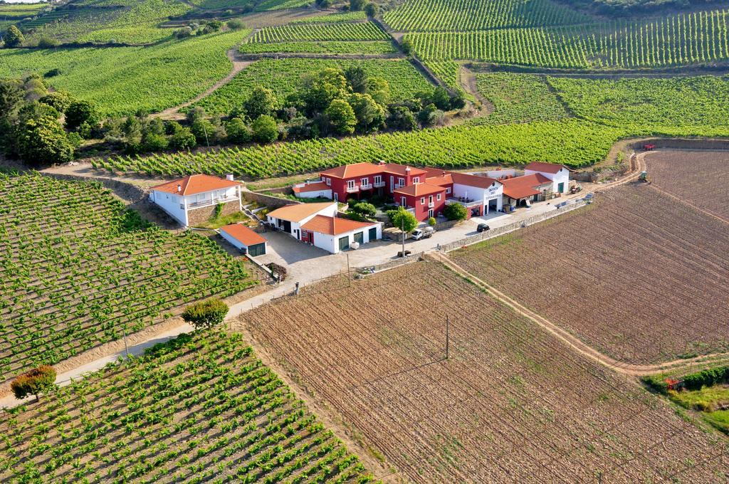 Quinta Dos Espinheiros Villa Provesende Kültér fotó