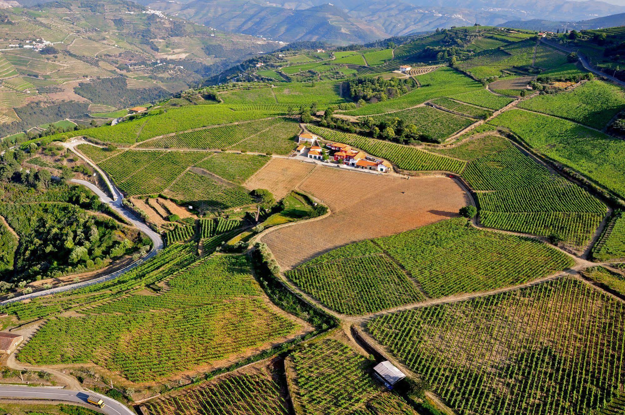 Quinta Dos Espinheiros Villa Provesende Kültér fotó