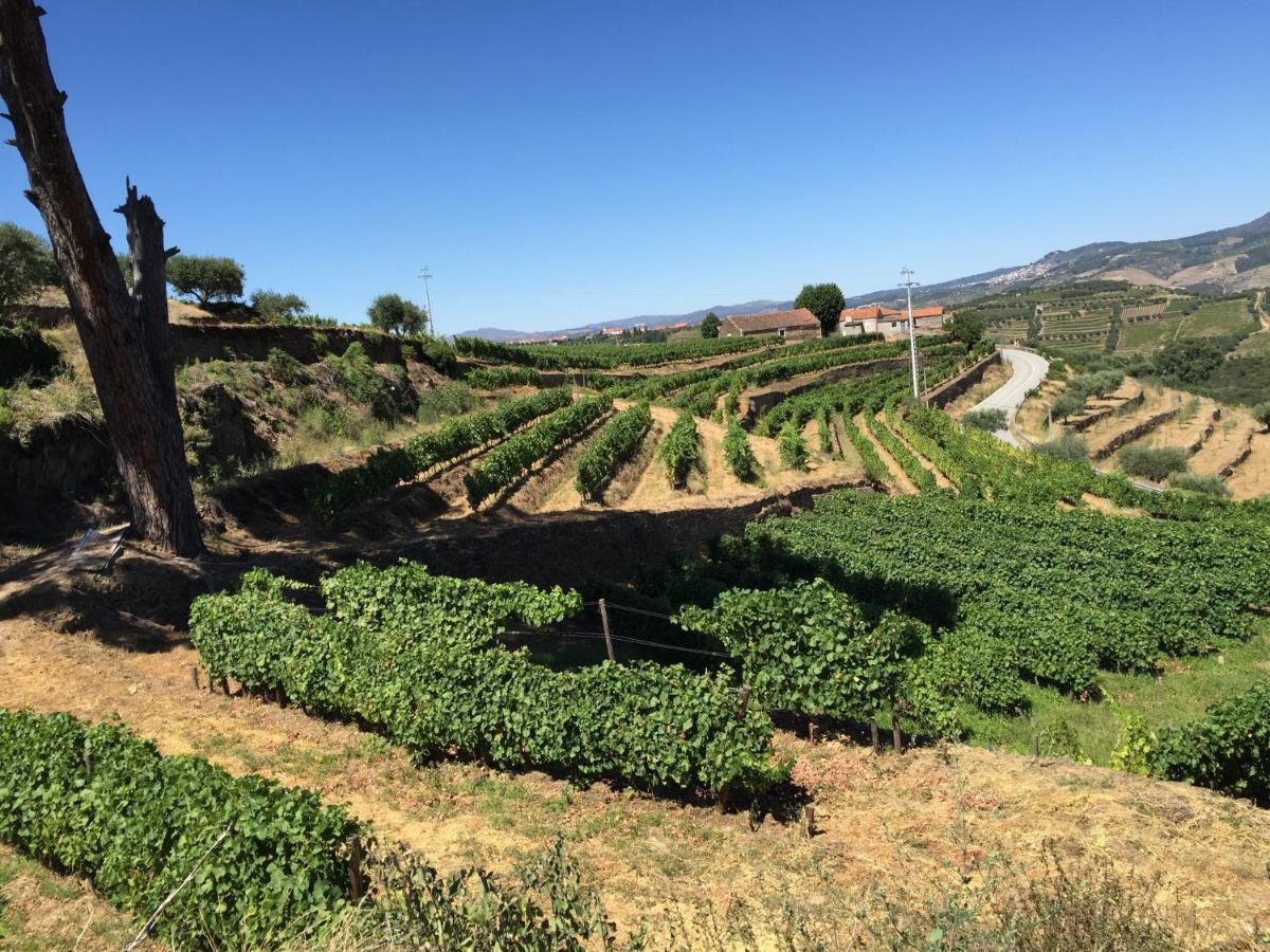 Quinta Dos Espinheiros Villa Provesende Szoba fotó