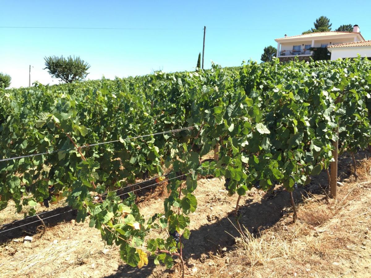 Quinta Dos Espinheiros Villa Provesende Szoba fotó